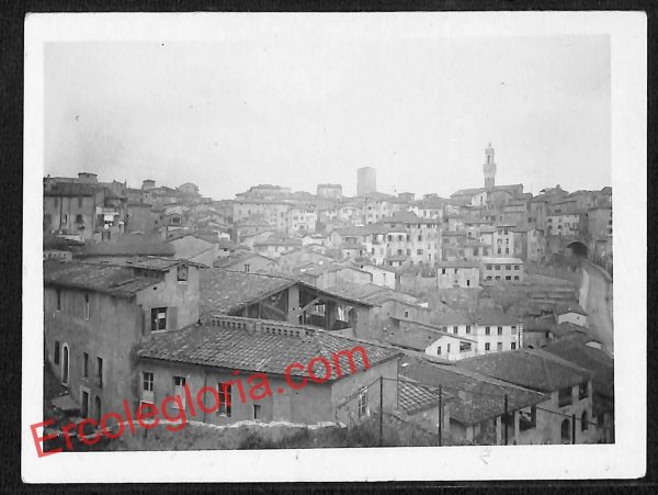 ai5522 - FOTO D' EPOCA - Siena Città - Panorama