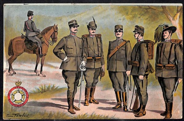 ac6783 - CARTOLINA D'EPOCA - REGGIMENTALI - Alpini  1913