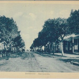 80139 - ALGERIA  Algérie -  Carte postal VINTAGE POSTCARD -  Marengo