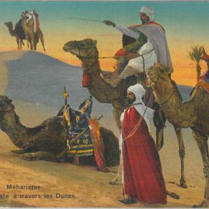 80140 - ALGERIA  Algérie -  Carte postal VINTAGE POSTCARD -  Méhariste
