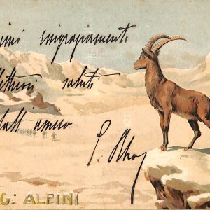 ac6799 - CARTOLINA D'EPOCA - REGGIMENTALI - Alpini  1912