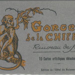 80149 - ALGERIA  Algérie - VINTAGE POSTCARD -  Gorges de la CHIFFA booklet of 10