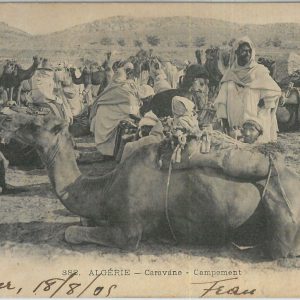 80176 - ALGERIA  Algérie - VINTAGE POSTCARD - ETHNIC: Alger CARAVANE 1905