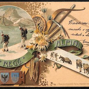 ac6879 - CARTOLINA D'EPOCA - REGGIMENTALI  - Alpini  1909