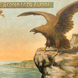 ac6898 - CARTOLINA D'EPOCA - REGGIMENTALI  - Alpini