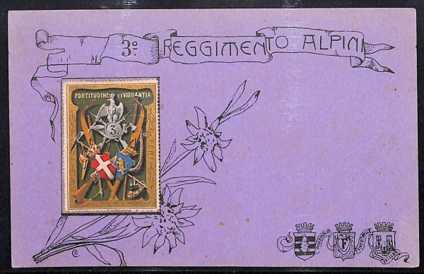ac6904 - CARTOLINA D'EPOCA - REGGIMENTALI  - Alpini