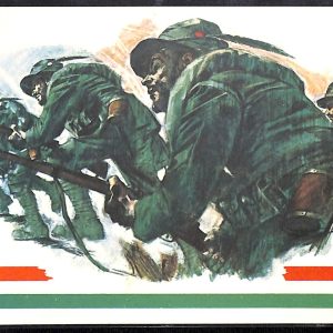 ac6906 - CARTOLINA D'EPOCA - REGGIMENTALI  - Alpini