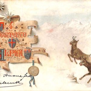 ac6910 - CARTOLINA D'EPOCA - REGGIMENTALI  - Alpini