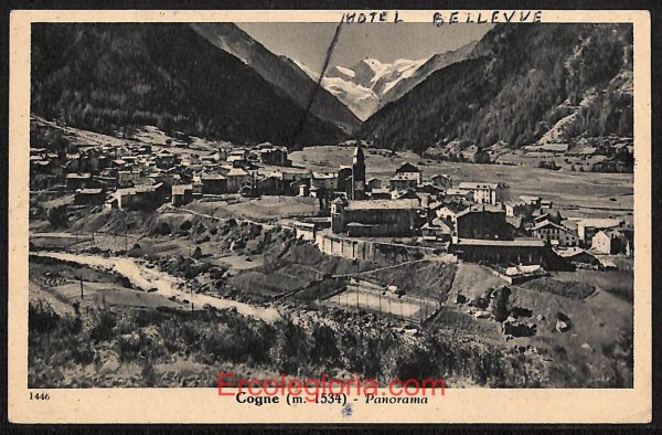 ad9899 - CARTOLINA  D'EPOCA - Aosta Provincia - Cogne  1948