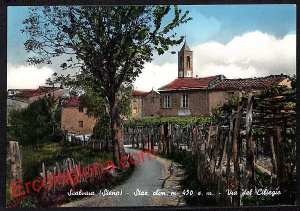ai5701 - CARTOLINA D' EPOCA - Siena Provincia - Scalvaia