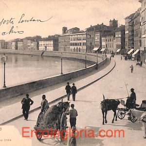 ad0186 - CARTOLINA D'EPOCA - Pisa Città - Lung' Arno Regio
