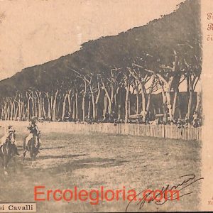ad0208 - CARTOLINA D'EPOCA - Pisa Città - Le corsie deo Cavalli  1902