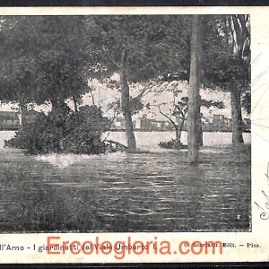 ad0218 - CARTOLINA D'EPOCA  - Pisa Città - Piena dell' Arno  1904
