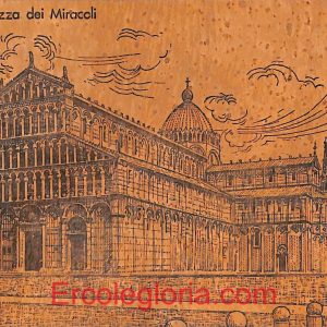 ad0237 - CARTOLINA D'EPOCA - Pisa Città - Piazza dei Miracoli