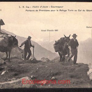 ad9917 - CARTOLINA  D'EPOCA - Aosta Provincia - Courmayeur