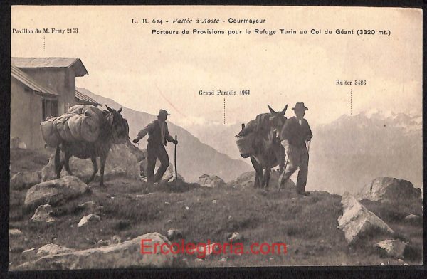 ad9917 - CARTOLINA  D'EPOCA - Aosta Provincia - Courmayeur