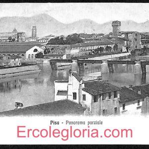 ad0242 - CARTOLINA D'EPOCA - Pisa Città - Panorama parziale