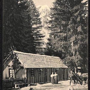 ad9923 - CARTOLINA  D'EPOCA - Aosta Provincia - Courmayeur