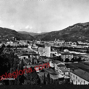 ah8721 - CARTOLINA D'EPOCA - Pistoia Provincia - Pescia