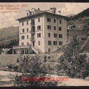 ad9932 - CARTOLINA  D'EPOCA - Aosta Provincia - Champoluc