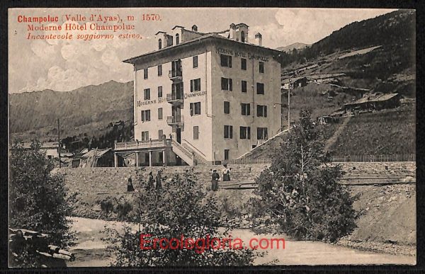ad9932 - CARTOLINA  D'EPOCA - Aosta Provincia - Champoluc