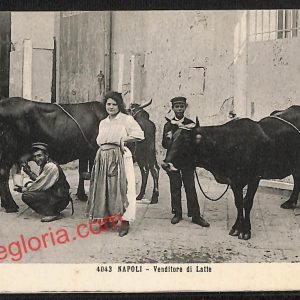 ah3731 - CARTOLINA D'EPOCA - Napoli Città - Venditore di latte
