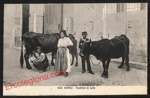 ah3731 - CARTOLINA D'EPOCA - Napoli Città - Venditore di latte