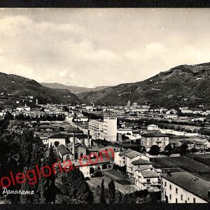 ah8722 - CARTOLINA D'EPOCA - Pistoia Provincia - Pescia