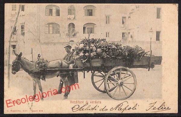 ah3733 - CARTOLINA D'EPOCA - Napoli Città - Venditore di verdura