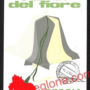 ah8724 - CARTOLINA D'EPOCA - Pistoia Provincia - Pescia