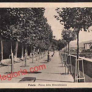 ah8726 - CARTOLINA D'EPOCA - Pistoia Provincia - Pescia