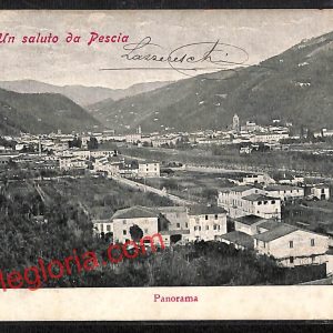 ah8728 - CARTOLINA D'EPOCA - Pistoia Provincia - Pescia