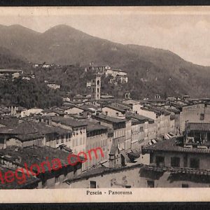 ah8730 - CARTOLINA D'EPOCA - Pistoia Provincia - Pescia