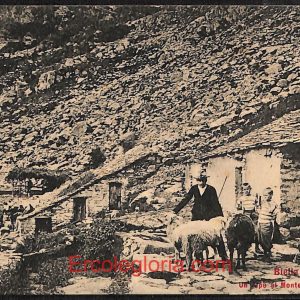 ae1801 - CARTOLINA  D'EPOCA - Biella Città - Un Alpe al Monte Mucrone