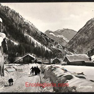 ad9938 - CARTOLINA  D'EPOCA - Aosta Provincia - Gressoney   1960