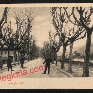 ah8754 - CARTOLINA D'EPOCA - Pistoia Provincia - Pescia