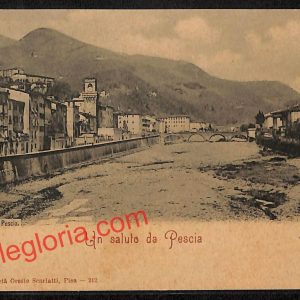 ah8756 - CARTOLINA D'EPOCA - Pistoia Provincia - Pescia
