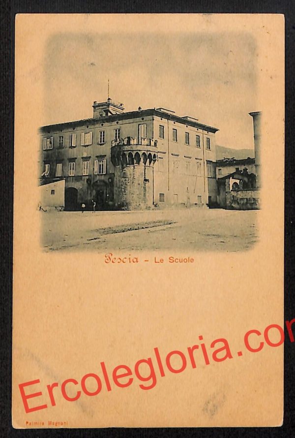 ah8757 - CARTOLINA D'EPOCA - Pistoia Provincia - Pescia