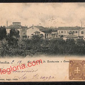 ah9754 - CARTOLINA D'EPOCA - Reggio Emilia Città - Scuola di Zootecnia