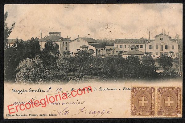 ah9754 - CARTOLINA D'EPOCA - Reggio Emilia Città - Scuola di Zootecnia