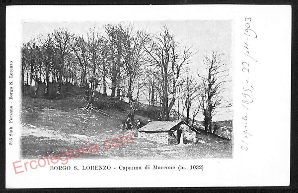 ae7453 - CARTOLINA D'EPOCA - Firenze Provincia - Borgo S. Lorenzo