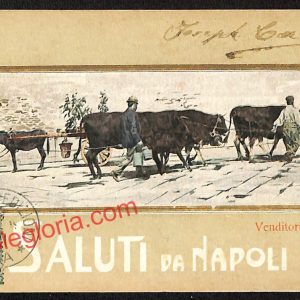ah3755 - CARTOLINA D'EPOCA - Napoli Città - Venditore di latte