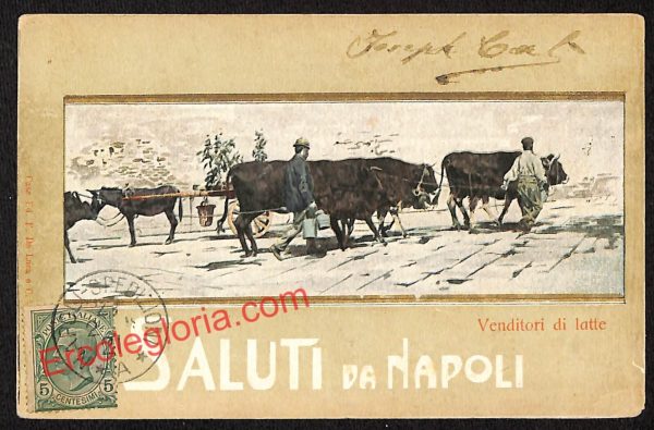 ah3755 - CARTOLINA D'EPOCA - Napoli Città - Venditore di latte