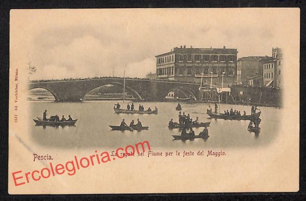 ah8776 - CARTOLINA D'EPOCA - Pistoia Provincia - Pescia