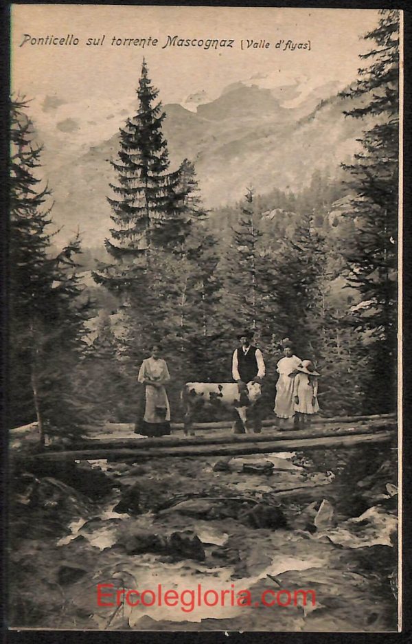 ad9960 - CARTOLINA  D'EPOCA - Aosta Provincia - Mascognaz