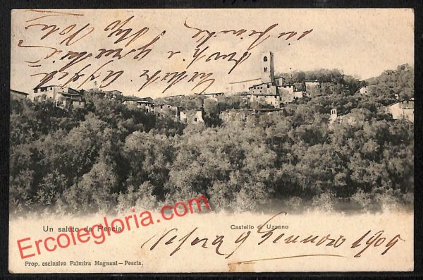 ah8778 - CARTOLINA D'EPOCA - Pistoia Provincia - Pescia