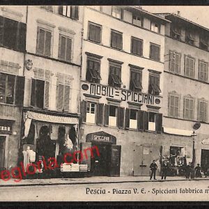ah8784 - CARTOLINA D'EPOCA - Pistoia Provincia - Pescia