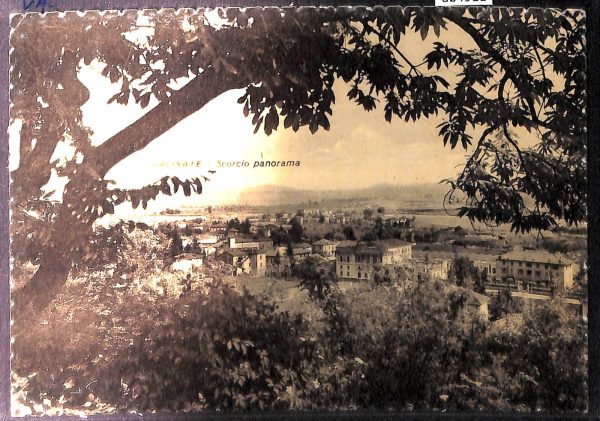 ab4911-  CARTOLINA  D'EPOCA -  Varese Provincia  :  ARCISATE