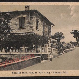 ae7473 - CARTOLINA D'EPOCA - Firenze Provincia - Borselli  1943