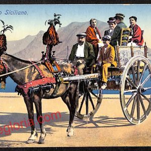 ah5232 - CARTOLINA D'EPOCA - Palermo Città - Carretto Siciliano